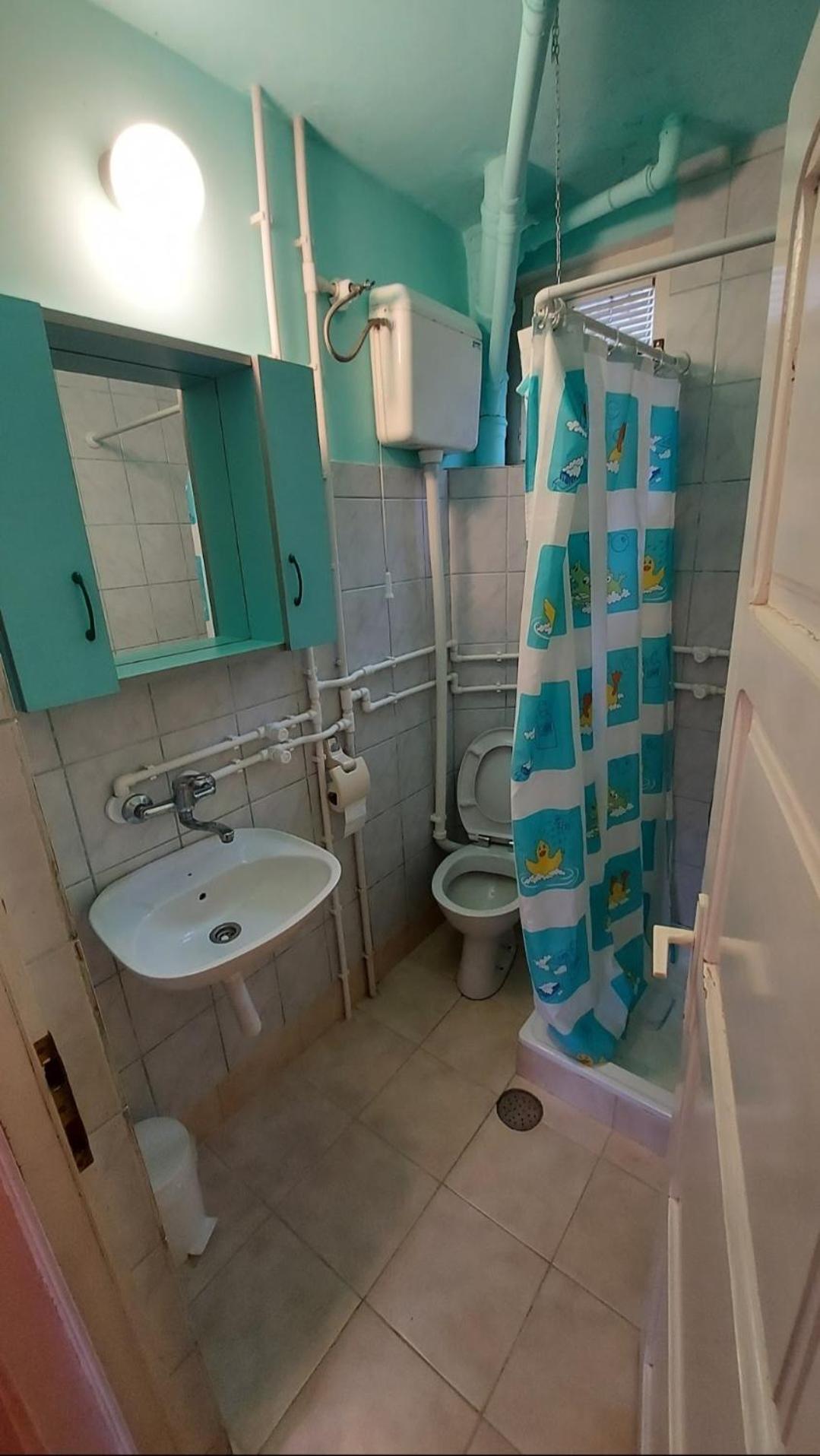 Domacinstvo Jolovic Hotel Kraljevo Bagian luar foto